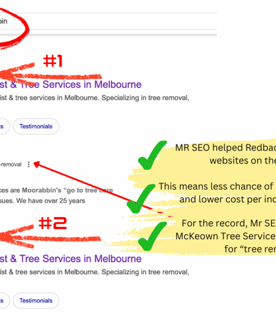 Tree Removal SEO Secrets Revealed: How Redback Tree Services Went from One Truck to a 12-Truck Melbourne Tree Removal Powerhouse