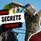 Tree Removal SEO Secrets Revealed: How Redback Tree Services Went from One Truck to a 12-Truck Melbourne Tree Removal Powerhouse