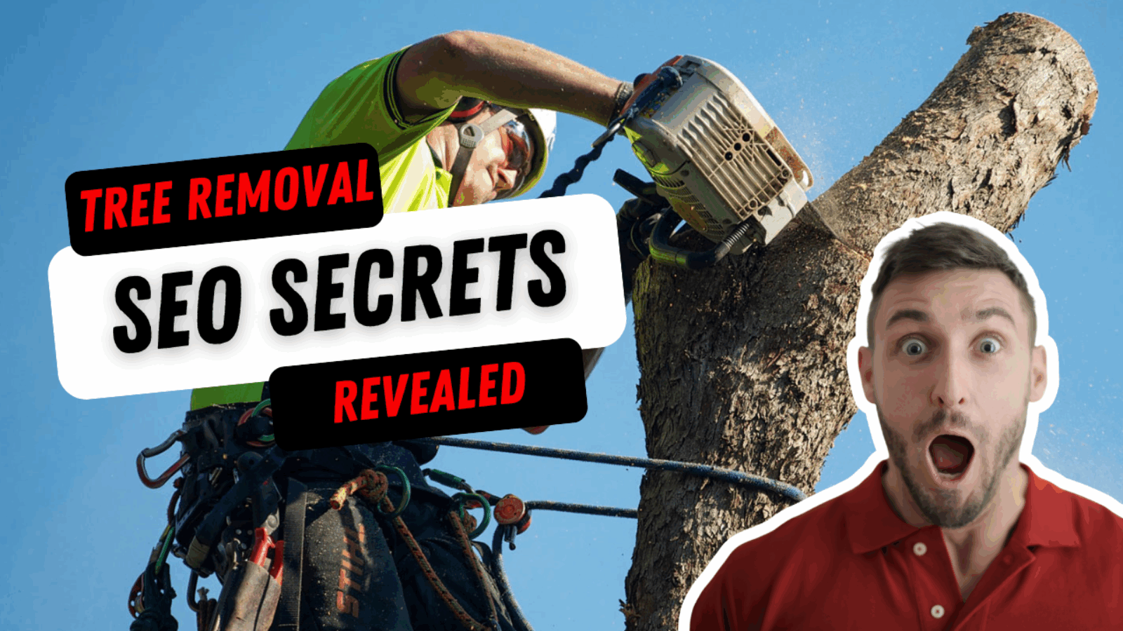 Tree Removal SEO Secrets Revealed: How Redback Tree Services Went from One Truck to a 12-Truck Melbourne Tree Removal Powerhouse
