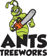 ants-treeworks-logo-tree-removal-min